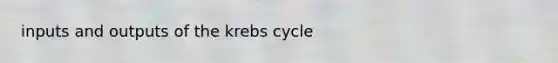 inputs and outputs of the krebs cycle