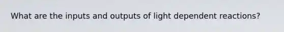 What are the inputs and outputs of light dependent reactions?