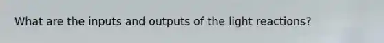 What are the inputs and outputs of the light reactions?