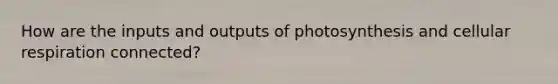 How are the inputs and outputs of photosynthesis and cellular respiration connected?