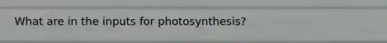 What are in the inputs for photosynthesis?