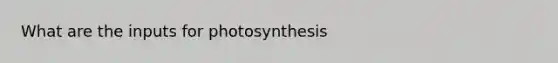 What are the inputs for photosynthesis