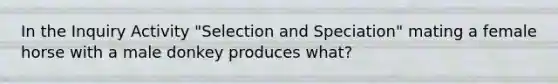 In the Inquiry Activity "Selection and Speciation" mating a female horse with a male donkey produces what?