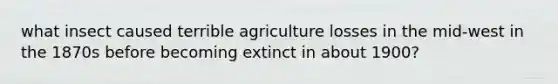 what insect caused terrible agriculture losses in the mid-west in the 1870s before becoming extinct in about 1900?