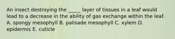 An insect destroying the _____ layer of tissues in a leaf would lead to a decrease in the ability of gas exchange within the leaf. A. spongy mesophyll B. palisade mesophyll C. xylem D. epidermis E. cuticle