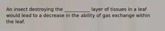 An insect destroying the ___________ layer of tissues in a leaf would lead to a decrease in the ability of gas exchange within the leaf.