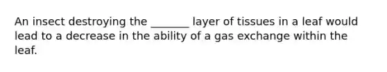 An insect destroying the _______ layer of tissues in a leaf would lead to a decrease in the ability of a gas exchange within the leaf.