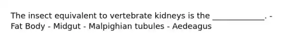 The insect equivalent to vertebrate kidneys is the _____________. - Fat Body - Midgut - Malpighian tubules - Aedeagus