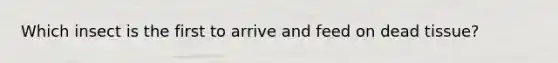 Which insect is the first to arrive and feed on dead tissue?