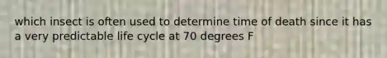 which insect is often used to determine time of death since it has a very predictable life cycle at 70 degrees F