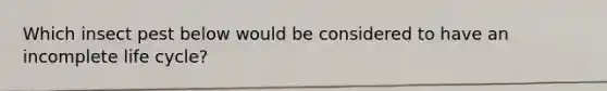 Which insect pest below would be considered to have an incomplete life cycle?