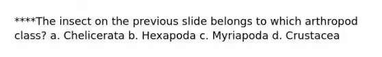 ****The insect on the previous slide belongs to which arthropod class? a. Chelicerata b. Hexapoda c. Myriapoda d. Crustacea
