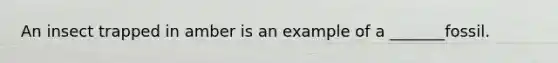An insect trapped in amber is an example of a _______fossil.