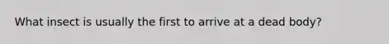 What insect is usually the first to arrive at a dead body?