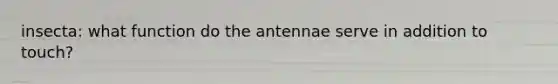 insecta: what function do the antennae serve in addition to touch?