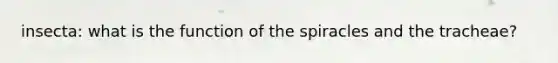 insecta: what is the function of the spiracles and the tracheae?