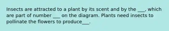 Insects are attracted to a plant by its scent and by the ___, which are part of number ___ on the diagram. Plants need insects to pollinate the flowers to produce___.