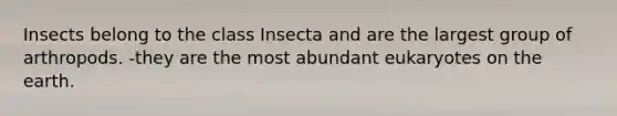 Insects belong to the class Insecta and are the largest group of arthropods. -they are the most abundant eukaryotes on the earth.