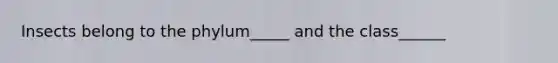 Insects belong to the phylum_____ and the class______