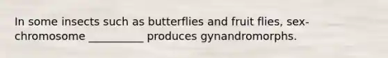 In some insects such as butterflies and fruit flies, sex-chromosome __________ produces gynandromorphs.