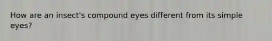 How are an insect's compound eyes different from its simple eyes?