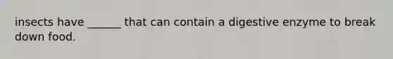 insects have ______ that can contain a digestive enzyme to break down food.