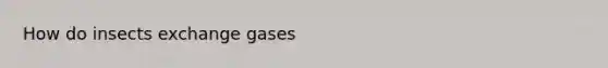 How do insects exchange gases