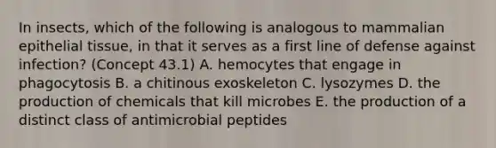 In insects, which of the following is analogous to mammalian <a href='https://www.questionai.com/knowledge/k7dms5lrVY-epithelial-tissue' class='anchor-knowledge'>epithelial tissue</a>, in that it serves as a first line of defense against infection? (Concept 43.1) A. hemocytes that engage in phagocytosis B. a chitinous exoskeleton C. lysozymes D. the production of chemicals that kill microbes E. the production of a distinct class of antimicrobial peptides