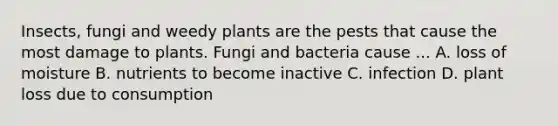 Insects, fungi and weedy plants are the pests that cause the most damage to plants. Fungi and bacteria cause ... A. loss of moisture B. nutrients to become inactive C. infection D. plant loss due to consumption