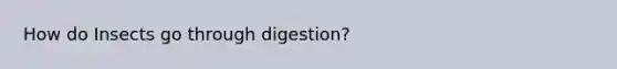 How do Insects go through digestion?