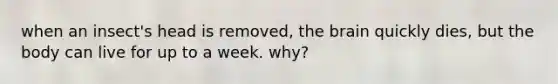 when an insect's head is removed, the brain quickly dies, but the body can live for up to a week. why?
