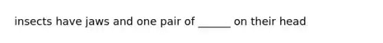 insects have jaws and one pair of ______ on their head