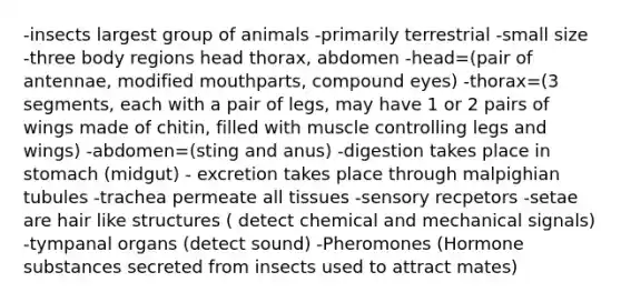 -insects largest group of animals -primarily terrestrial -small size -three body regions head thorax, abdomen -head=(pair of antennae, modified mouthparts, compound eyes) -thorax=(3 segments, each with a pair of legs, may have 1 or 2 pairs of wings made of chitin, filled with muscle controlling legs and wings) -abdomen=(sting and anus) -digestion takes place in stomach (midgut) - excretion takes place through malpighian tubules -trachea permeate all tissues -sensory recpetors -setae are hair like structures ( detect chemical and mechanical signals) -tympanal organs (detect sound) -Pheromones (Hormone substances secreted from insects used to attract mates)