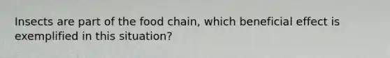 Insects are part of the food chain, which beneficial effect is exemplified in this situation?