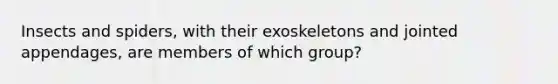 Insects and spiders, with their exoskeletons and jointed appendages, are members of which group?