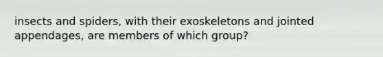 insects and spiders, with their exoskeletons and jointed appendages, are members of which group?