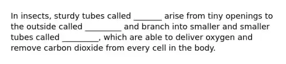 In insects, sturdy tubes called _______ arise from tiny openings to the outside called _________ and branch into smaller and smaller tubes called _________, which are able to deliver oxygen and remove carbon dioxide from every cell in the body.