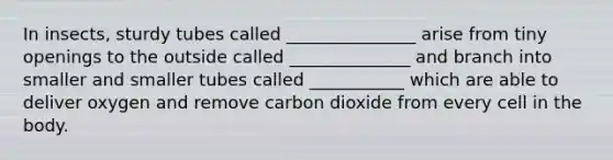 In insects, sturdy tubes called _______________ arise from tiny openings to the outside called ______________ and branch into smaller and smaller tubes called ___________ which are able to deliver oxygen and remove carbon dioxide from every cell in the body.