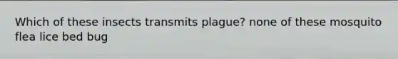 Which of these insects transmits plague? none of these mosquito flea lice bed bug