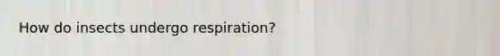 How do insects undergo respiration?