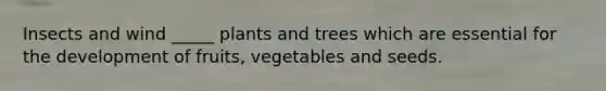 Insects and wind _____ plants and trees which are essential for the development of fruits, vegetables and seeds.