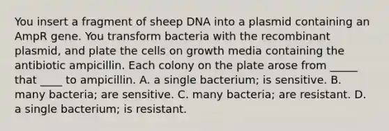 You insert a fragment of sheep DNA into a plasmid containing an AmpR gene. You transform bacteria with the recombinant plasmid, and plate the cells on growth media containing the antibiotic ampicillin. Each colony on the plate arose from _____ that ____ to ampicillin. A. a single bacterium; is sensitive. B. many bacteria; are sensitive. C. many bacteria; are resistant. D. a single bacterium; is resistant.