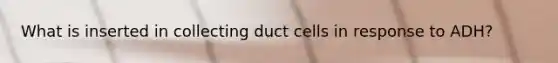 What is inserted in collecting duct cells in response to ADH?