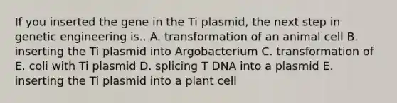 If you inserted the gene in the Ti plasmid, the next step in genetic engineering is.. A. transformation of an animal cell B. inserting the Ti plasmid into Argobacterium C. transformation of E. coli with Ti plasmid D. splicing T DNA into a plasmid E. inserting the Ti plasmid into a plant cell