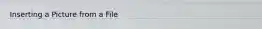 Inserting a Picture from a File