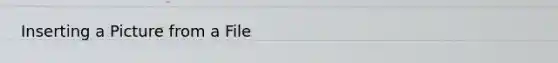 Inserting a Picture from a File