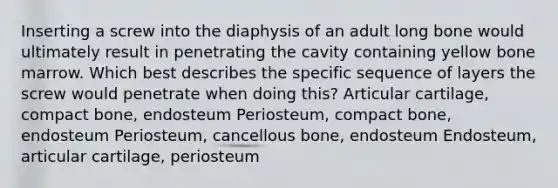 Inserting a screw into the diaphysis of an adult long bone would ultimately result in penetrating the cavity containing yellow bone marrow. Which best describes the specific sequence of layers the screw would penetrate when doing this? Articular cartilage, compact bone, endosteum Periosteum, compact bone, endosteum Periosteum, cancellous bone, endosteum Endosteum, articular cartilage, periosteum