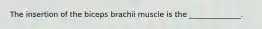 The insertion of the biceps brachii muscle is the ______________.