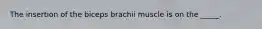 The insertion of the biceps brachii muscle is on the _____.