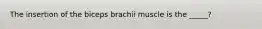 The insertion of the biceps brachii muscle is the _____?